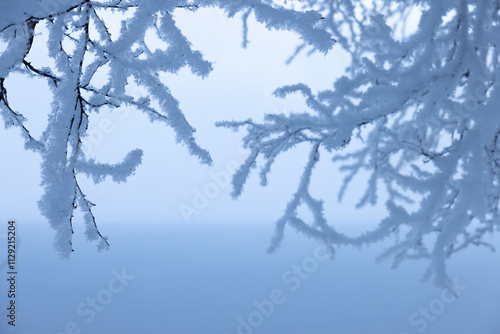 Vereister Raureif an hängenden Ästen