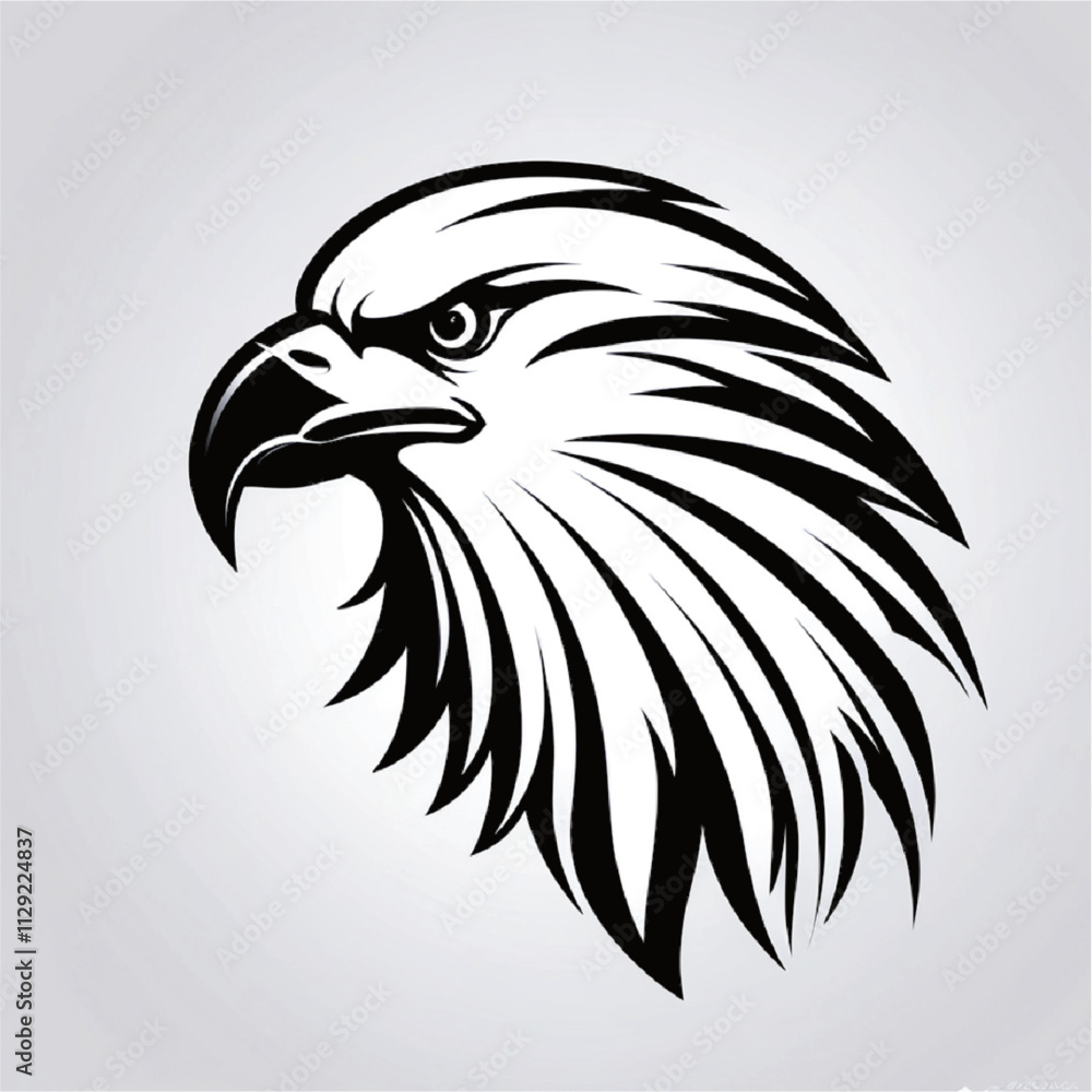 Fototapeta premium Eagle Vector