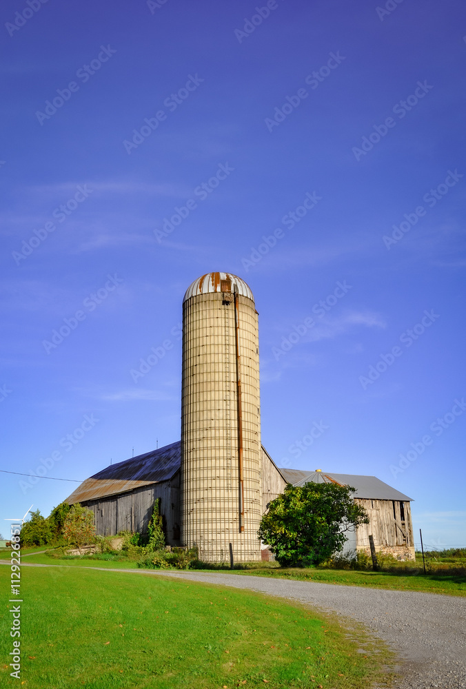 Old barn and silo in the field Old barn and silo in the field