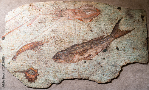 Close-up on sculptures carved in a marble wall representing aquatic creatures in the sea photo