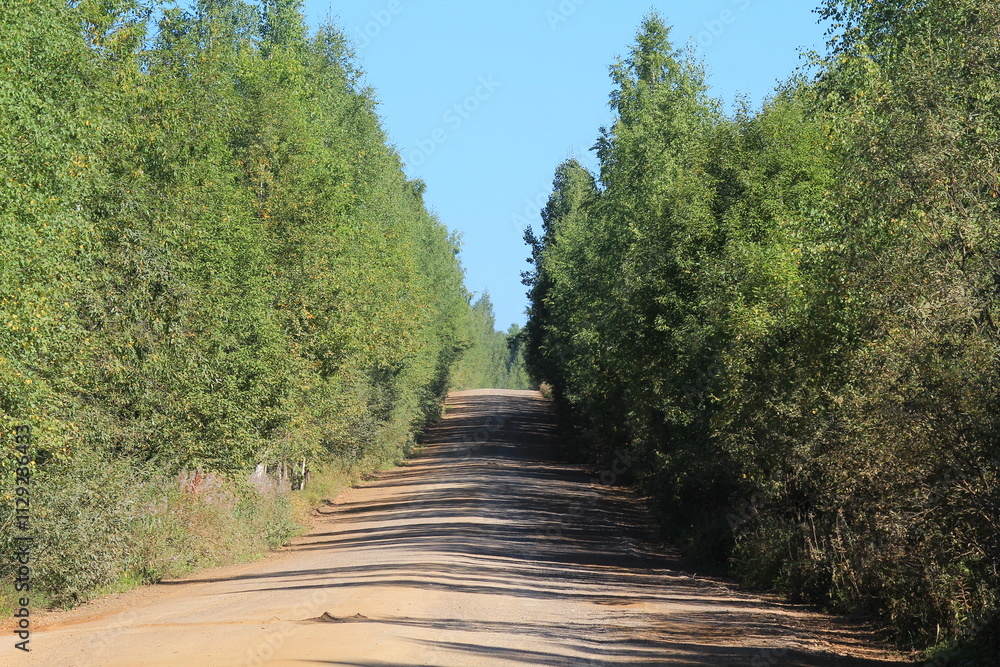 dirt roads in the dense forests of northeastern Europe on a summer day dirt roads in the dense forests of northeastern Europe on a summer day
