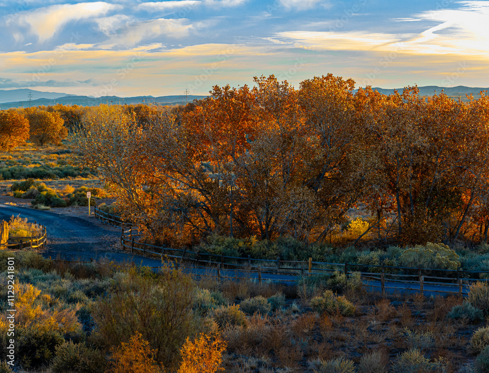 Fall Color and Sandia Mountains and The Bosque Forest, Santa Ana Pueblo, New Mexico, USA Fall Color and Sandia Mountains and The Bosque Forest, Santa Ana Pueblo, New Mexico, USA