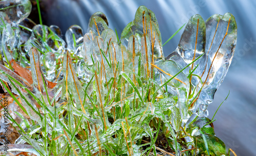 Ice wrapping and encasing grass haulms on a cold winter morning. Macro close up of ice surface. Intense green haulms and blades under transparent coating of frozen water formed by spray of a cascade. photo