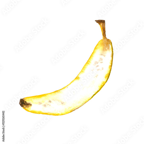 Watercolor illustration of half banana isolated on white background