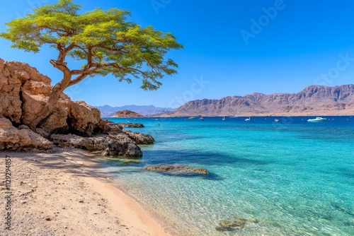 A serene shot of the peaceful lagoons in Eilat, with birds like flamingos and herons resting in the shallows photo