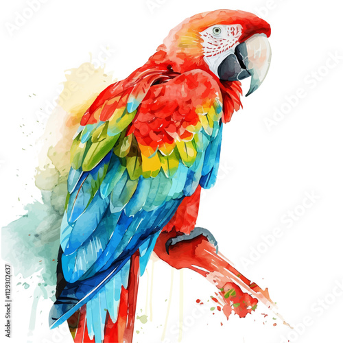 A watercolor vector of a macaw, isolated on a white background. Macaw vector.