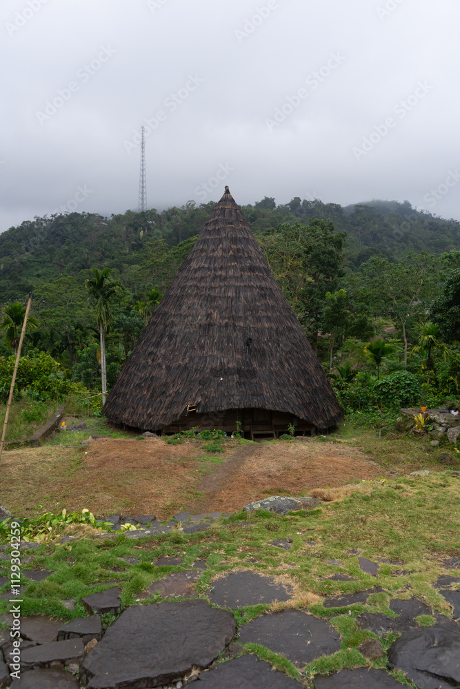 A traditional thatched hut in a lush green landscape. A traditional thatched hut in a lush green landscape.