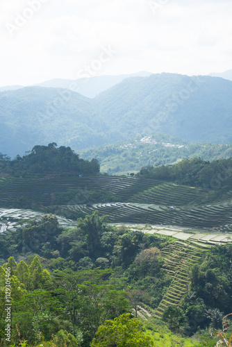 Obraz na plátne Lush green terraces stretch across the mountainous landscape.