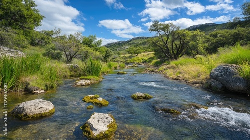 Serene landscapes in natural beauty