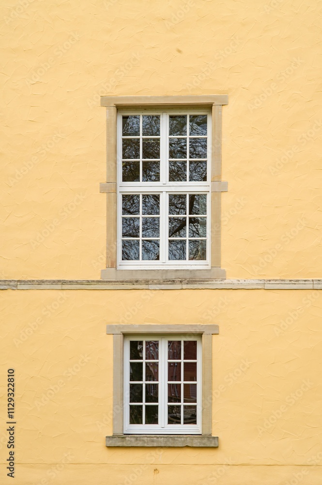 Fototapeta premium Two white windows reflecting trees on a yellow wall