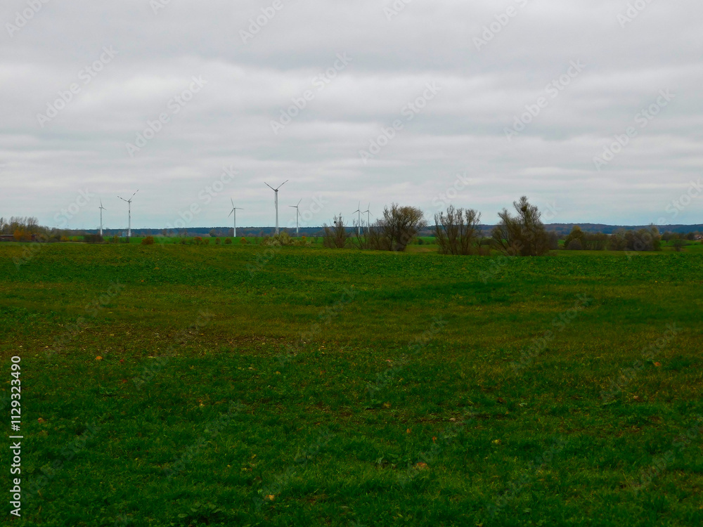 Die Natur im Herbst in der Uckermark