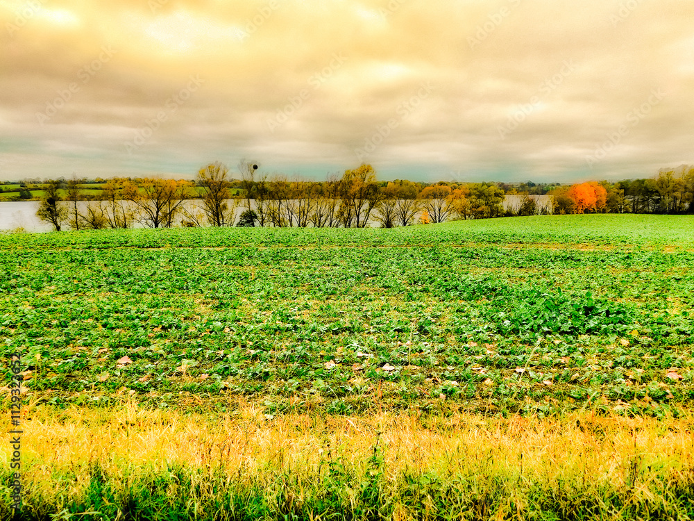 Die Natur im Herbst in der Uckermark