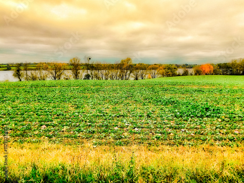 Obraz na płótnie Die Natur im Herbst in der Uckermark w salonie