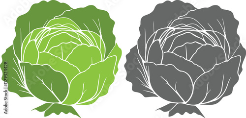 Cabbage vegetable abstract colorful silhouette on white background vector illustration.