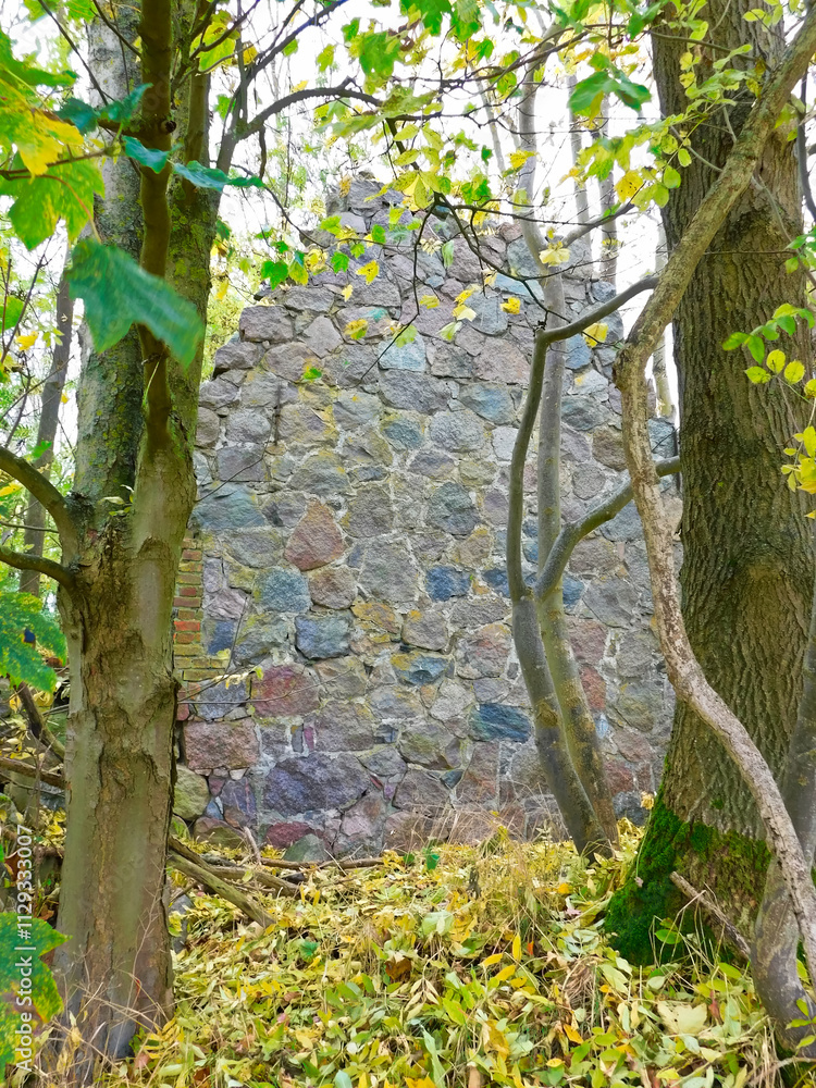 Geheimnisvolle Orte - Eine Ruine im Unterholz