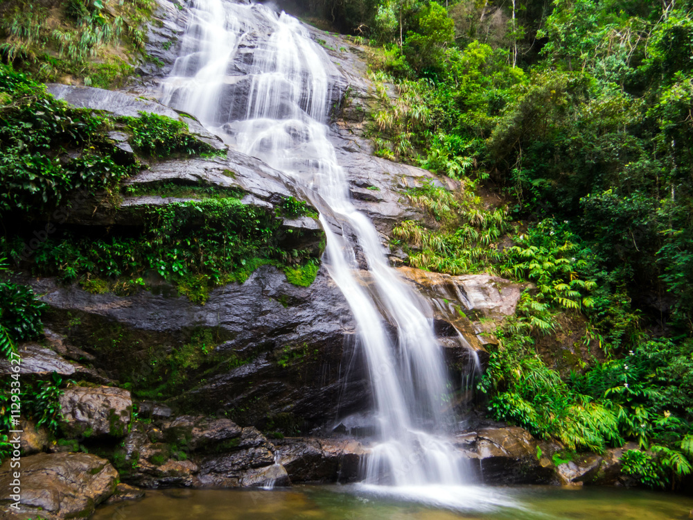 Tijuca National Park, Rio de Janeiro, Brazil Tijuca National Park, Rio de Janeiro, Brazil