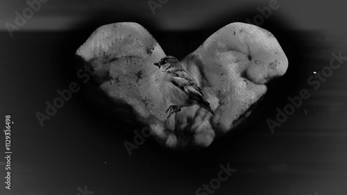 Vintage black and white captivating digital art featuring mesmerizing loop of hands holding a bird