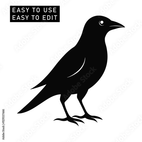 White and black bird silhouettes. Vector elements for design.