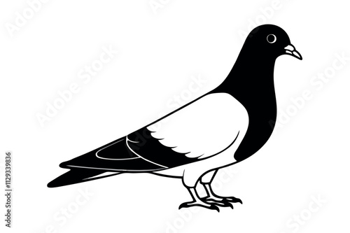 Pigeon Line Art Vector Illustration