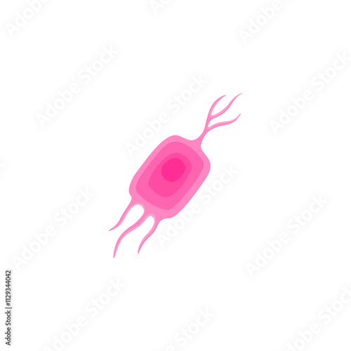 ependymal cells