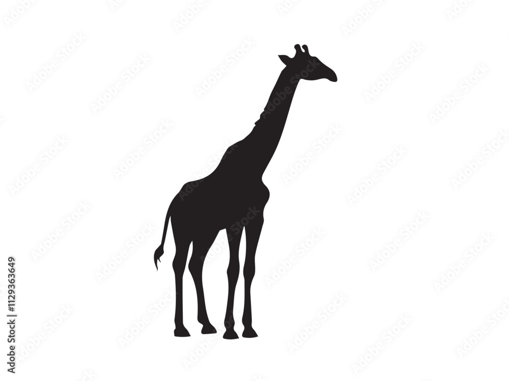 Fototapeta premium Giraffe silhouette isolated on white. Vector illustration. Giraffe Silhouette. Animal silhouette.