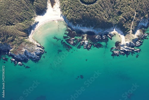 sea ​​forest perfect nature photos high resolution perfect colors