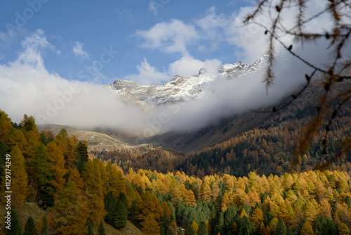 An autumn view of Val da Camp near Lago da Saoseo, Graubünden (Bernina Mountains), with golden larches and a vivid blue sky. photo