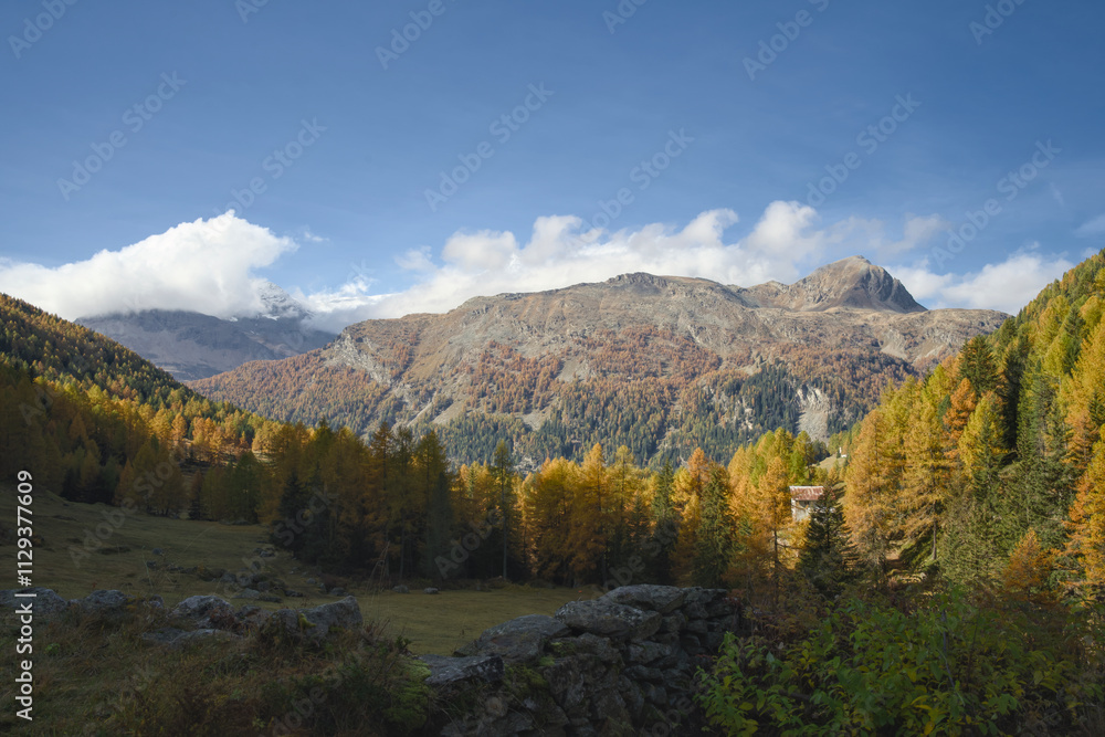 An autumn view of Val da Camp near Lago da Saoseo, Graubünden (Bernina Mountains), with golden larches and a vivid blue sky. An autumn view of Val da Camp near Lago da Saoseo, Graubünden (Bernina Mountains), with golden larches and a vivid blue sky.