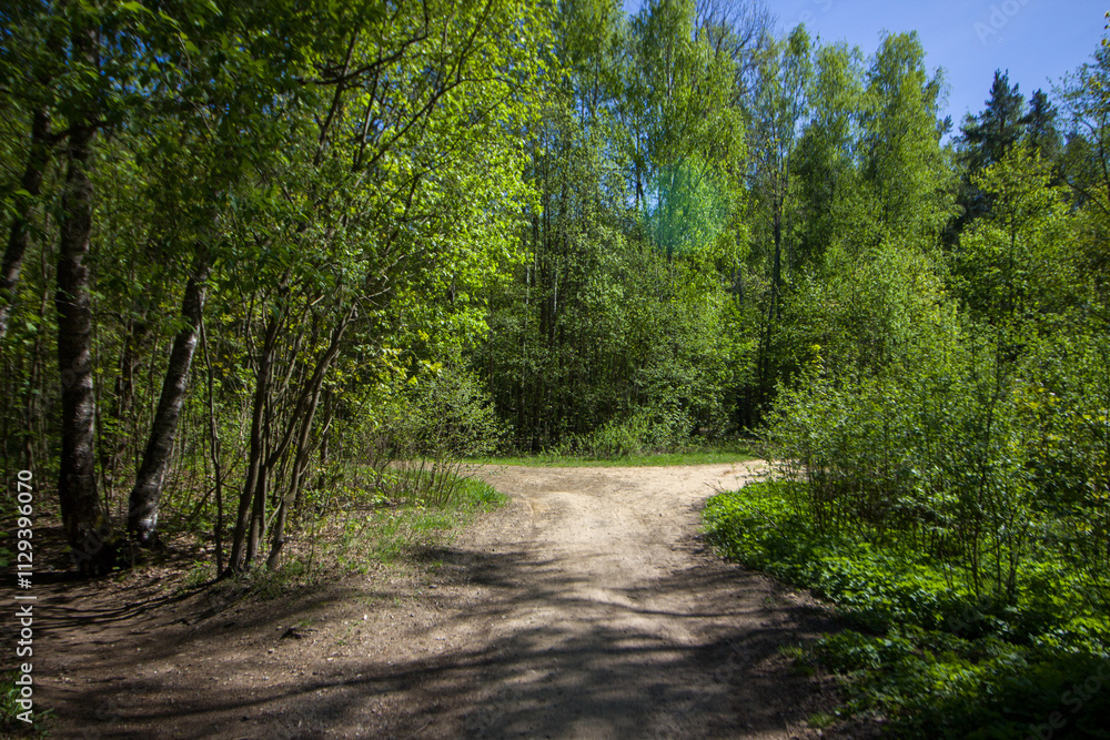 Fototapeta premium Path inside the forest. Yukki village.
