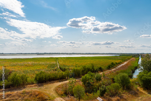 View from the lookout tower at the White Lake photo