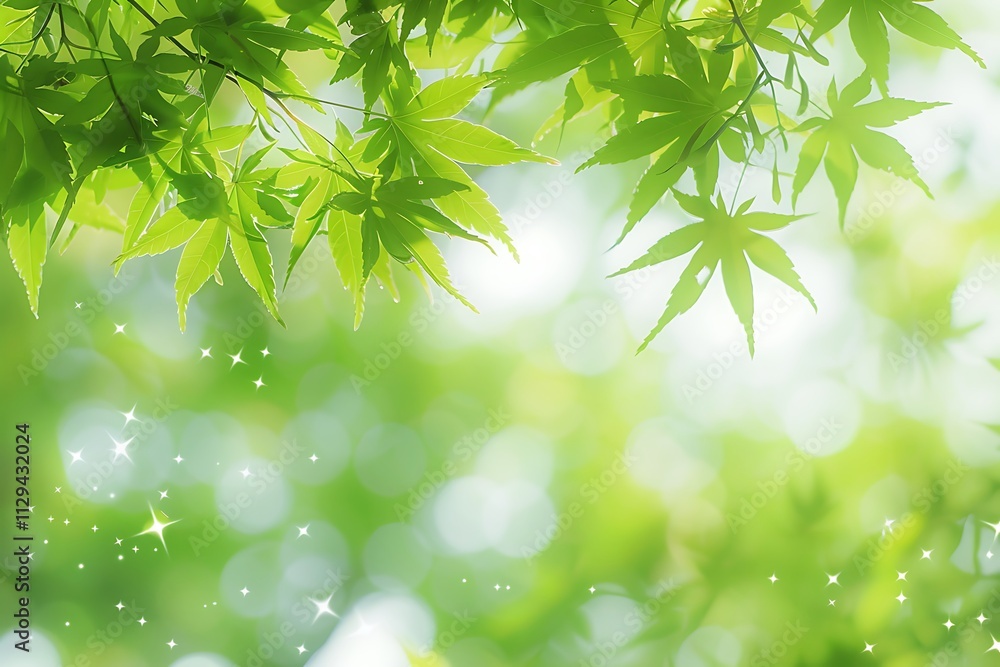 green leaves branch in spring summer, blurred bokeh nature background, sunlight and fresh air, Japanese maple trees, copy space for design, springtime season concept, atmosphere of tranquility green leaves branch in spring summer, blurred bokeh nature background, sunlight and fresh air, Japanese maple trees, copy space for design, springtime season concept, atmosphere of tranquility