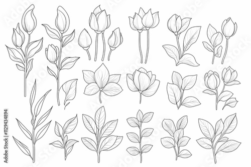 Wallpaper Mural Hand-Drawn Floral Illustrations for Artistic Design Projects Torontodigital.ca