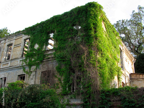фотографія Abandoned stonebrick building with damage, overgrown by vegetation No recent hum
