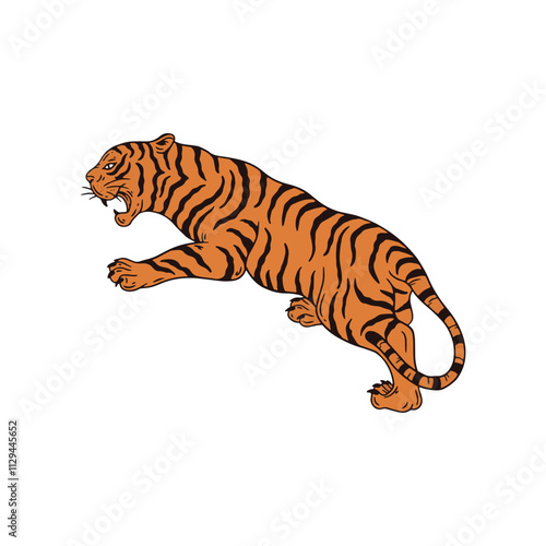 tiger on white