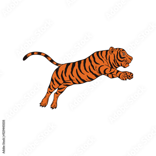 tiger on white background