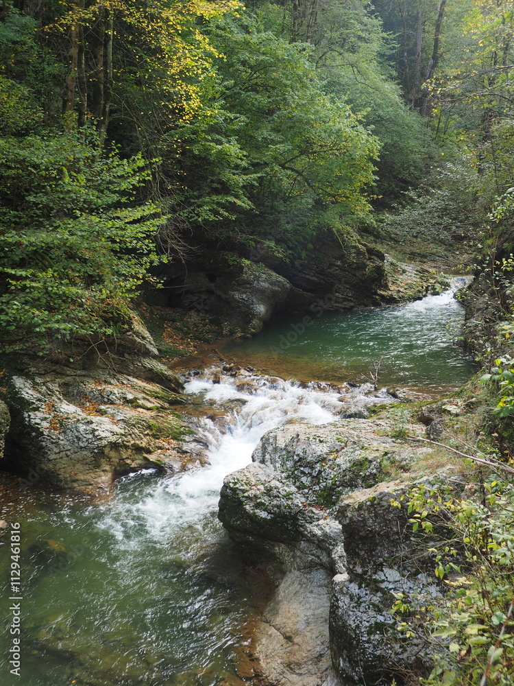 Waterfall in the forest. Beautiful nature of the Caucasus mountains.