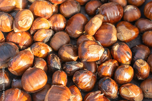 chestnuts with a cut in the shell for roasting on a grill, concept of magosto in Galicia photo