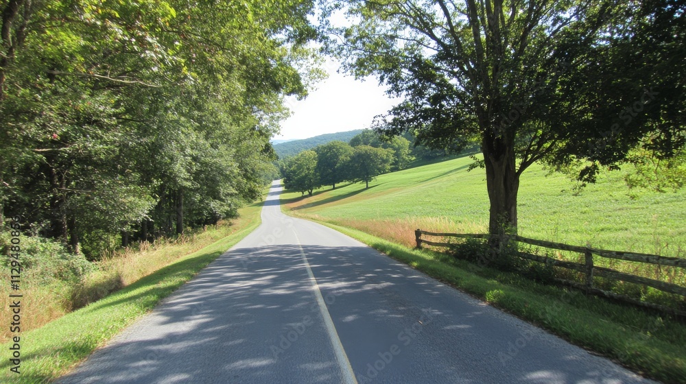 Fototapeta premium First-Person Country Road Composition Asphalt Path, Lush Greenscape, Summer Sunlight, Peaceful Drive, keyword1 nature photography, keyword2 scenic route, keyword3 landscape