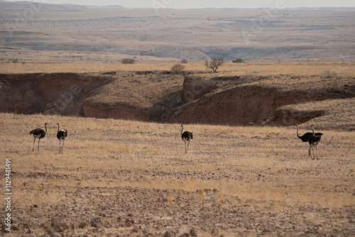 Afrikanische Tierwelt
