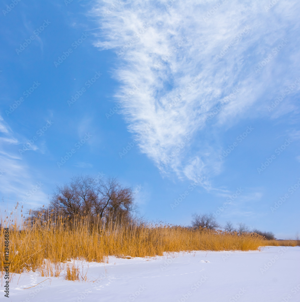 snowbound frozen river with reed on coast at the bright winter day snowbound frozen river with reed on coast at the bright winter day