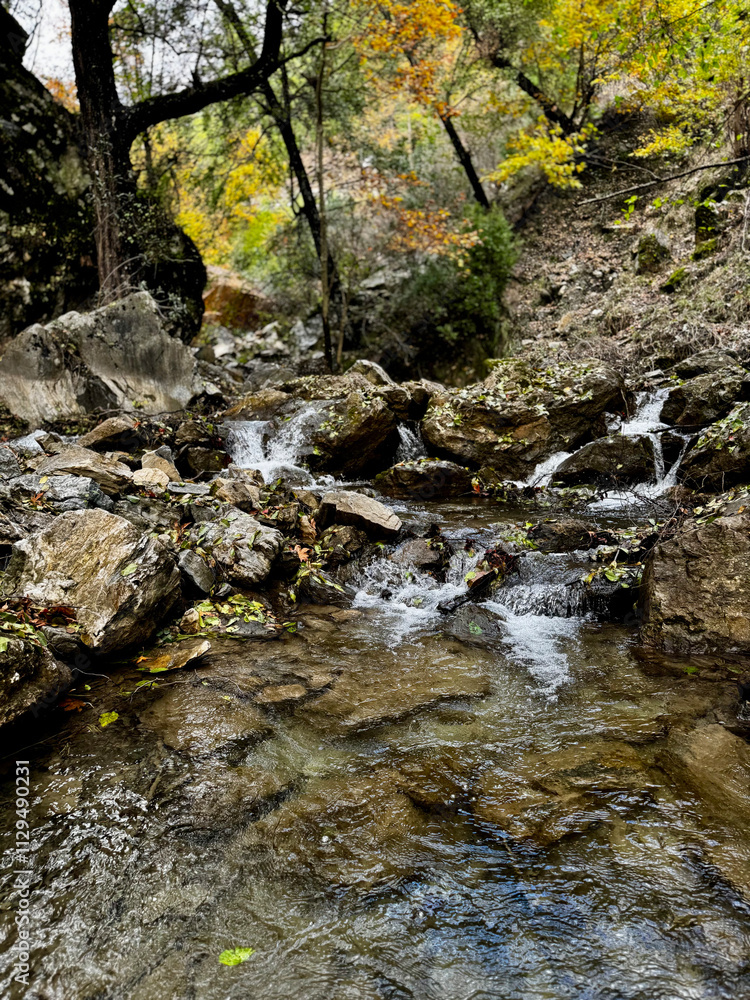 mountain river autumn rapids trees. High quality photo mountain river autumn rapids trees. High quality photo
