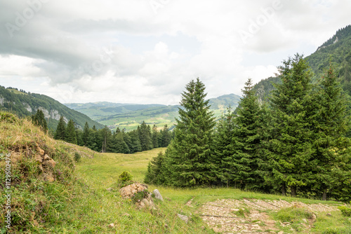 Hiking trail in the Appenzell mountains in Switzerland. Apine mountains in the background. Alpine trees on the slopes. Beautiful Alpine landschape in Switzerland. Cloudy summer day.