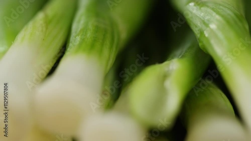 Wallpaper Mural Cutting fresh green onions on a cutting board, close up chef cooking green vegan salad. Torontodigital.ca