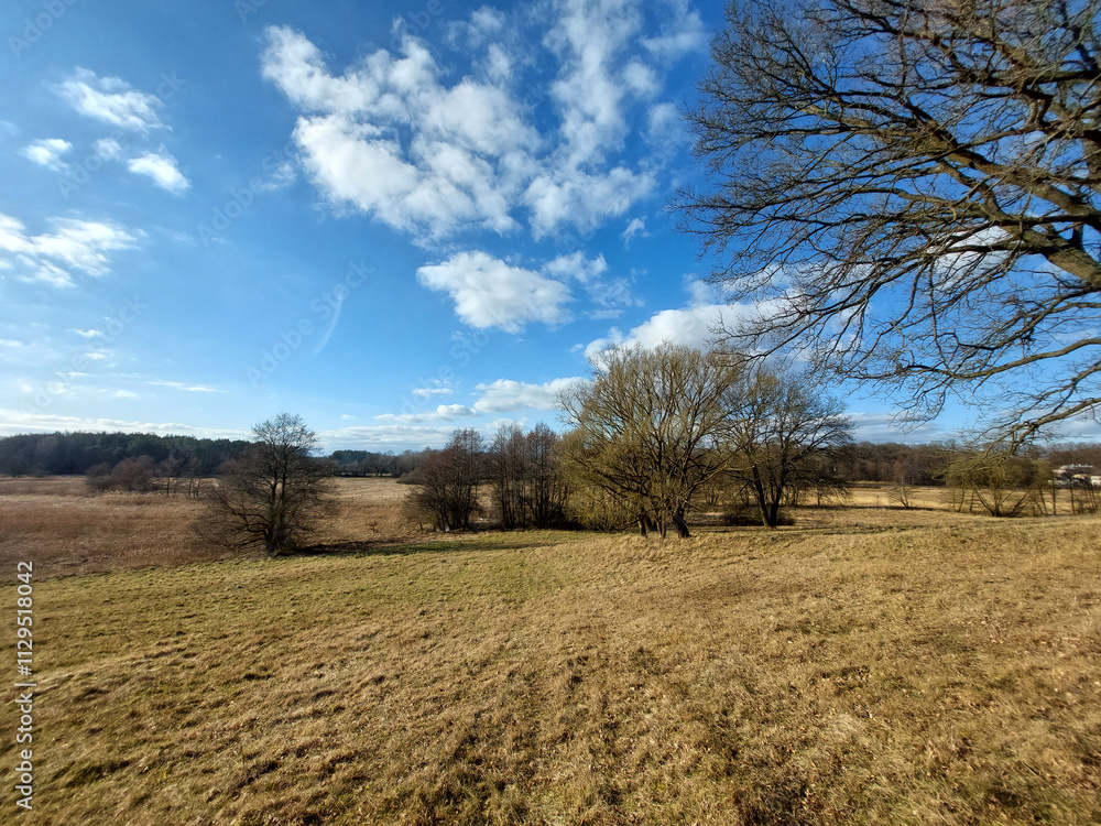 Obraz premium Rural Landsacpe