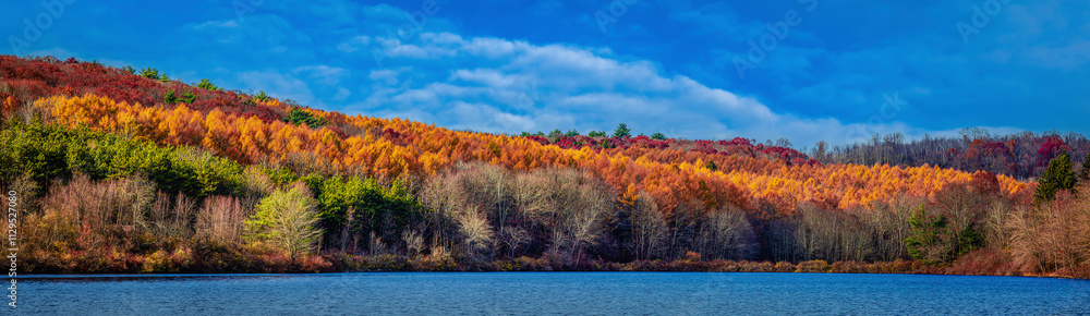 Fototapeta premium Autumn. Autumn forest panoramic landscape. Beautiful autumn panorama