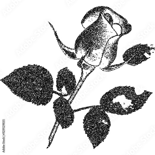 Small rose flower, collage element with vintage stipple photocopy effect, with retro grainy texture. Vector illustration for grunge psychedelic surreal poster or tattoo in 90s aesthetic.