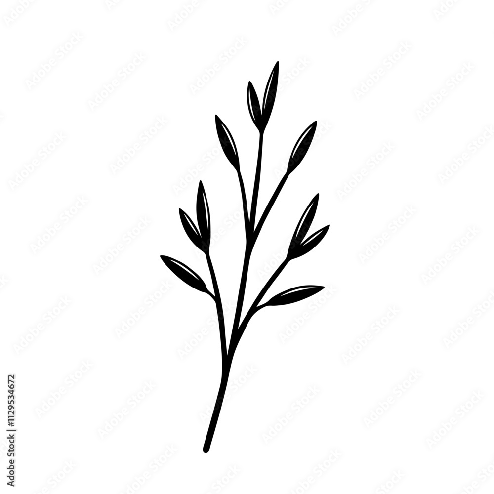 Branch of a plant. Hand drawn botanical illustration isolated on white background. Branch of a plant. Hand drawn botanical illustration isolated on white background.