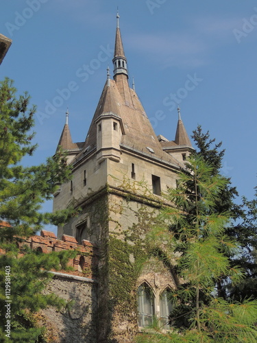 Castle in Budapest - Széchenyi - Hungary