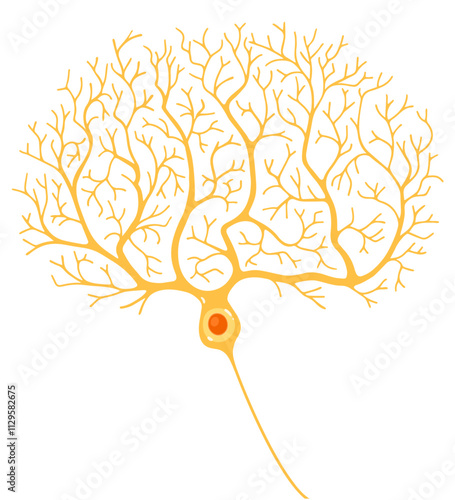 Vector Purkinje cells. Pear-shaped neurons.