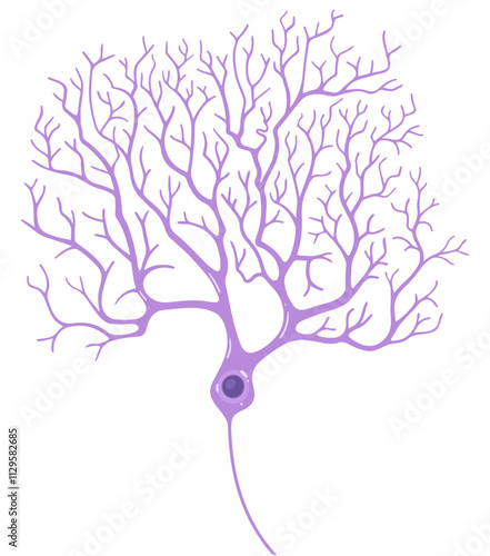 Vector Purkinje cells. Pear-shaped neurons.